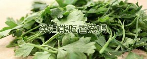 孕婦能吃香菜嗎