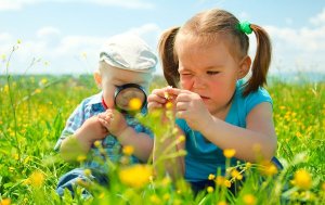 簡單幼兒早教親子游戲「大自然的藝術(shù)」
