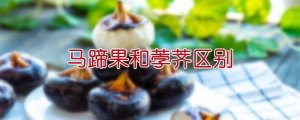 馬蹄果和荸薺區(qū)別
