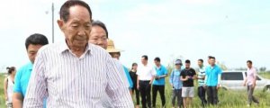 袁隆平的事跡介紹50個字
