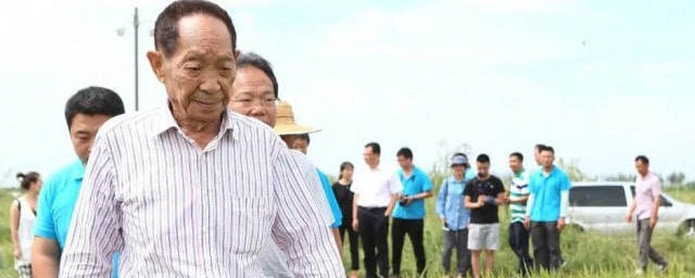 袁隆平的事跡介紹50個字