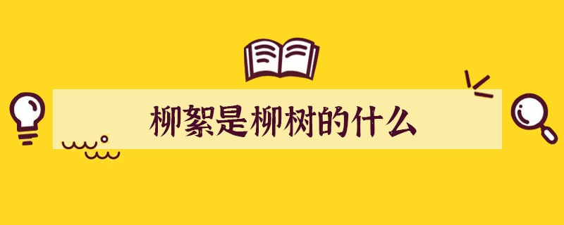 柳絮是柳樹的什么