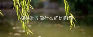 柳樹葉子像什么的比喻句