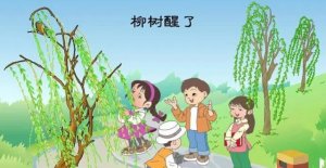 柳樹(shù)醒了教案