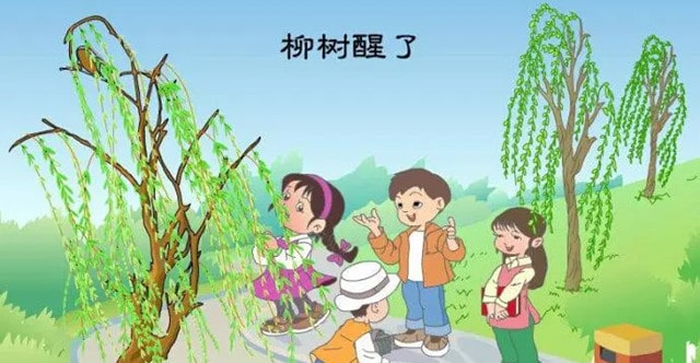 柳樹(shù)醒了教案