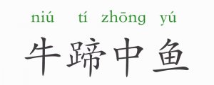 牛蹄中魚的意思和故事