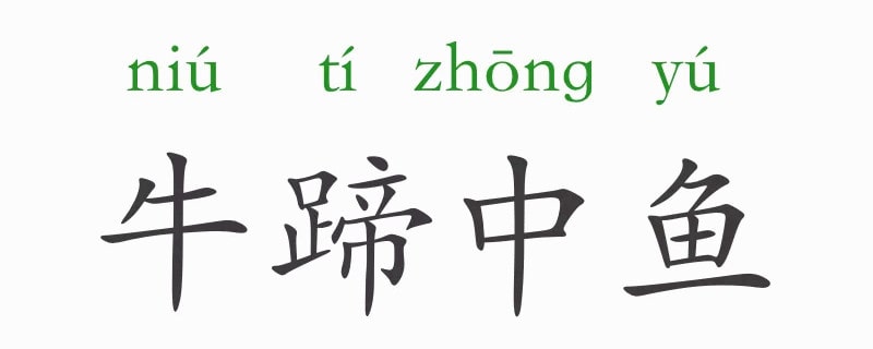 牛蹄中魚的意思和故事