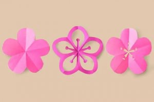 梅花兒童剪紙圖片簡(jiǎn)單的又漂亮
