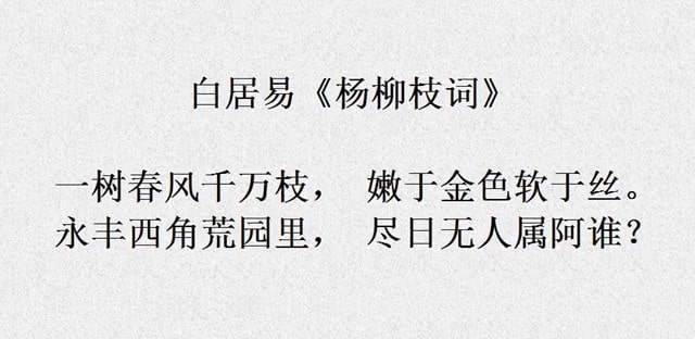 白居易楊柳枝詞古詩帶拼音版