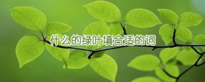 什么的綠葉填合適的詞