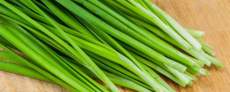 孕婦能吃韭菜嗎