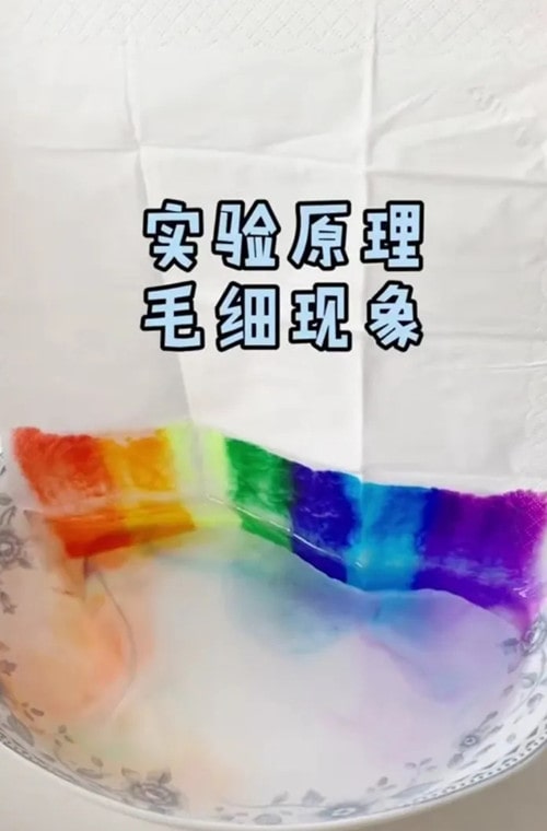 幼兒園小中大班好玩的益智顏色游戲