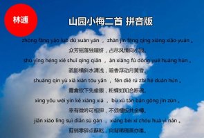 林逋山園小梅二首古詩(shī)帶拼音版