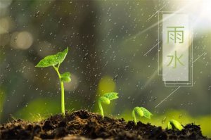描寫春雨的詩句