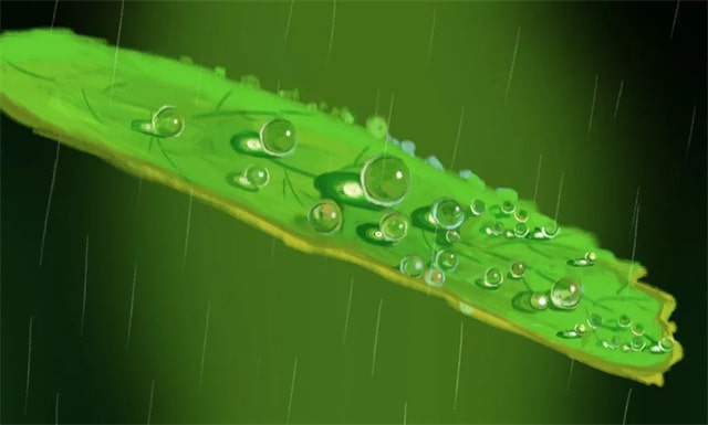 描寫春雨的詩句