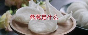 燕窩是什么