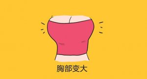 產(chǎn)后豐胸方法和時間