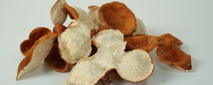 陳皮是什么果子的皮