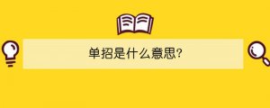 單招是什么意思?