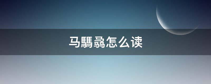 馬騳骉怎么讀