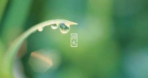 雨水節(jié)氣 ，一場春雨一場暖