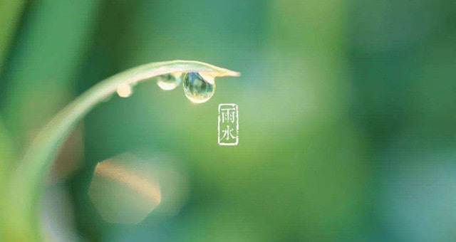 雨水節(jié)氣 ，一場春雨一場暖
