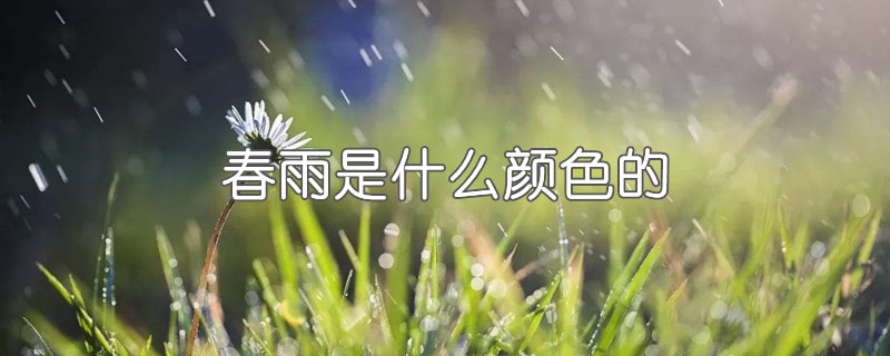 春雨是什么顏色的