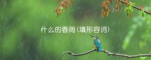 什么的春雨(填形容詞)