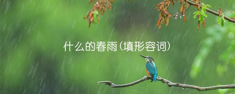 什么的春雨(填形容詞)