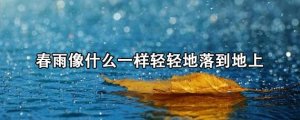 春雨像什么一樣輕輕地落到地上