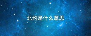 北約是什么意思