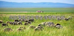 風(fēng)吹草低見牛羊全詩(shī)帶拼音版