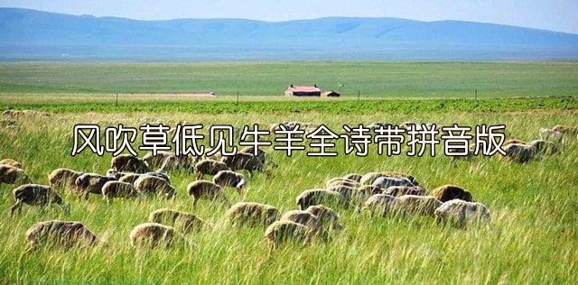風吹草低見牛羊全詩帶拼音版