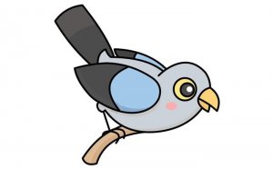 杜鵑鳥簡筆畫怎么畫簡單漂亮