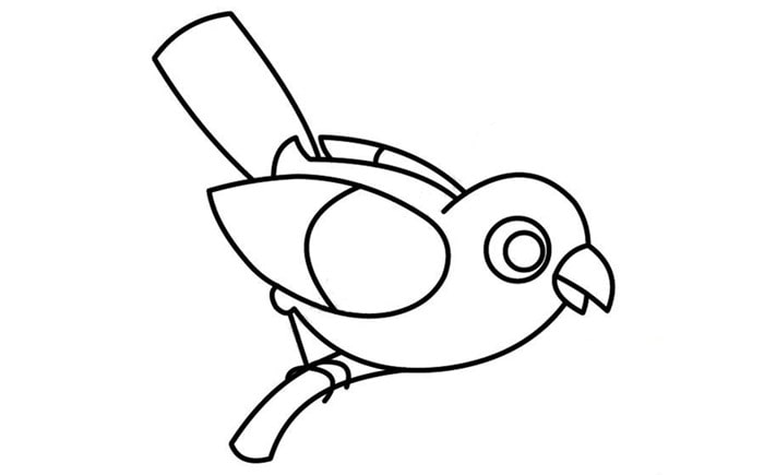 杜鵑鳥簡筆畫怎么畫簡單漂亮