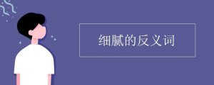 細(xì)膩的反義詞