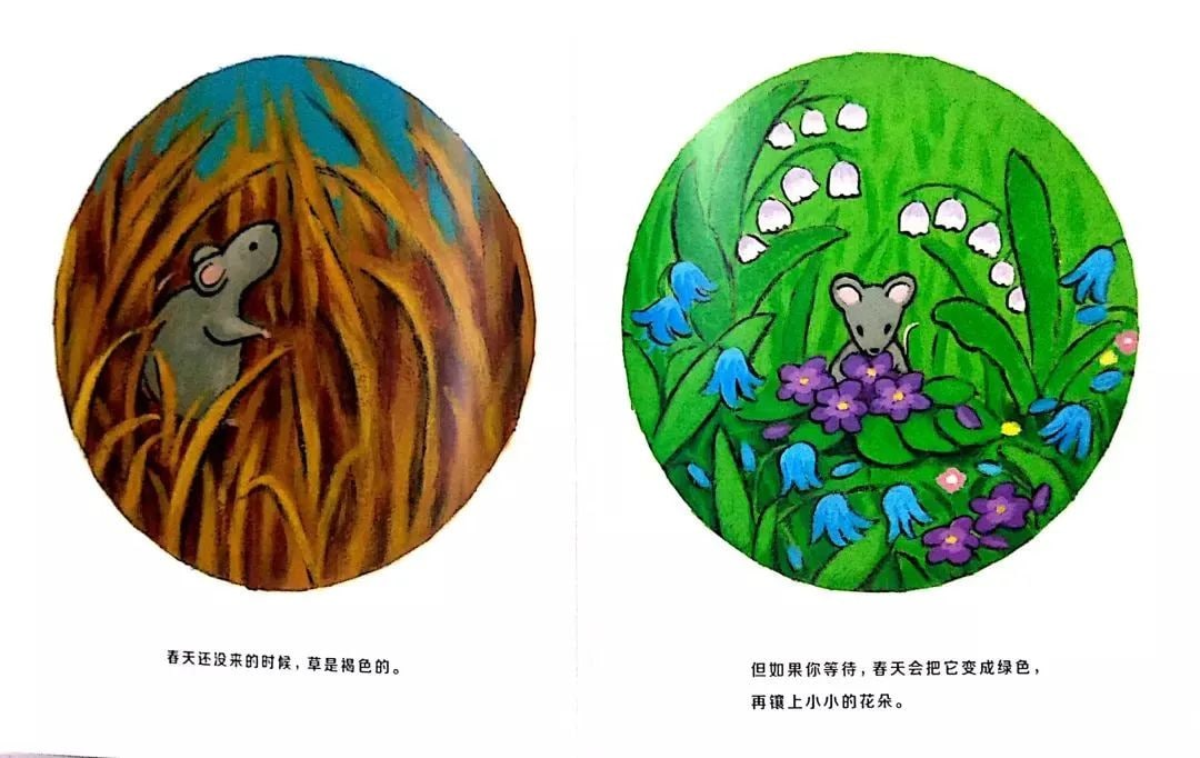 繪本故事《當春天來臨》教孩子認識春天