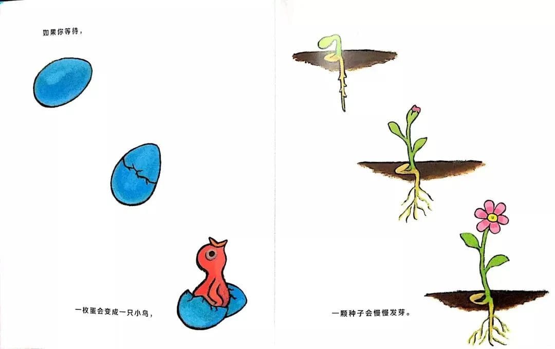 繪本故事《當春天來臨》教孩子認識春天