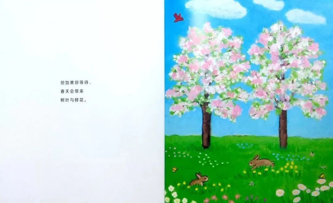 繪本故事《當春天來臨》教孩子認識春天