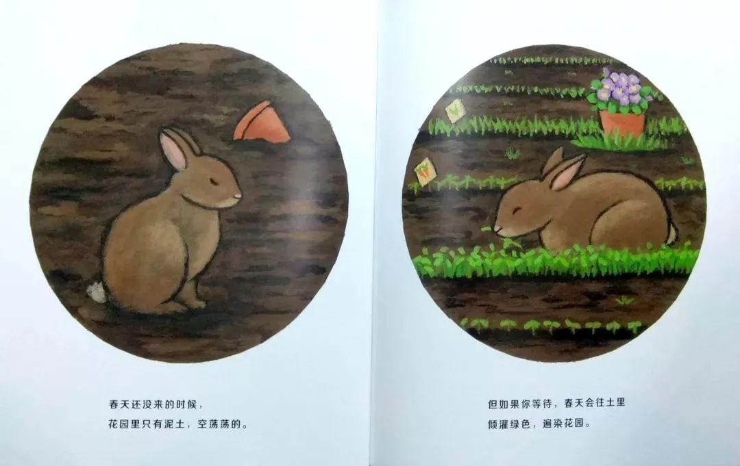 繪本故事《當春天來臨》教孩子認識春天
