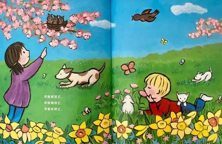 繪本故事《當春天來臨》教孩子認識春天