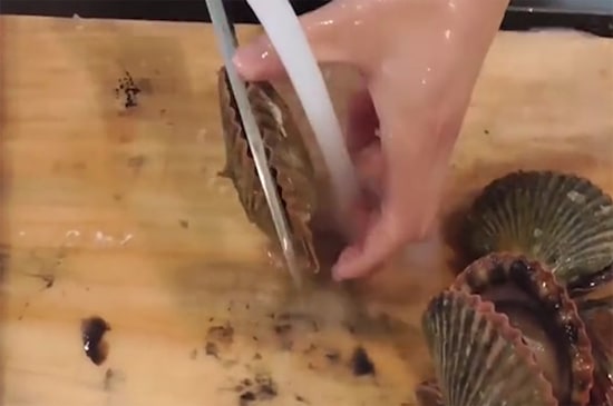 扇貝怎么清洗