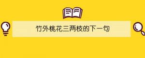 竹外桃花三兩枝的下一句