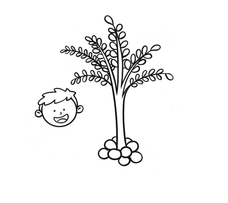 小學(xué)生植樹(shù)節(jié)的兒童簡(jiǎn)筆畫(huà)怎么畫(huà)