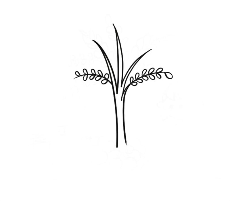 小學(xué)生植樹(shù)節(jié)的兒童簡(jiǎn)筆畫(huà)怎么畫(huà)
