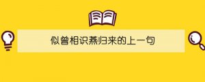 似曾相識(shí)燕歸來(lái)的上一句