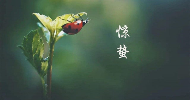 關于驚蟄的古詩詞唯美，叫醒酣睡的春