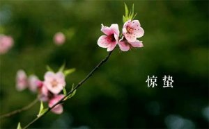 關(guān)于驚蟄的古詩詞唯美，叫醒酣睡的春