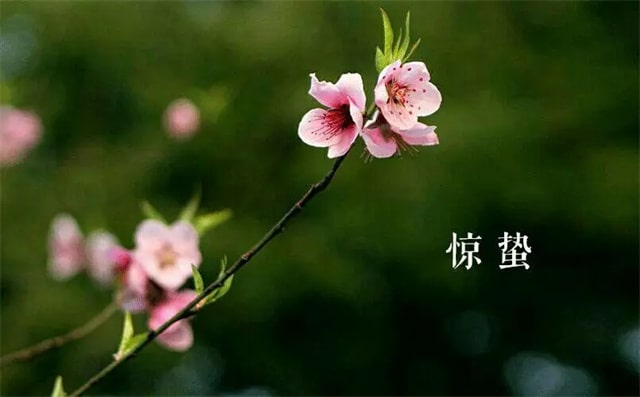 關于驚蟄的古詩詞唯美，叫醒酣睡的春