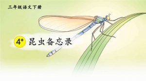昆蟲備忘錄仿寫（13篇）